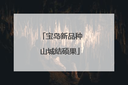 宝岛新品种 山城结硕果