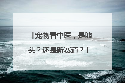 宠物看中医，是噱头？还是新赛道？