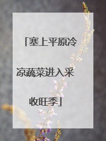 塞上平原冷凉蔬菜进入采收旺季