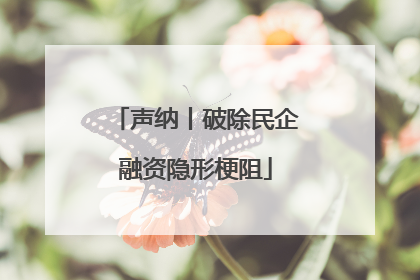 声纳丨破除民企融资隐形梗阻