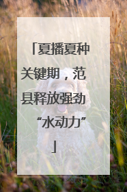夏播夏种关键期，范县释放强劲“水动力”