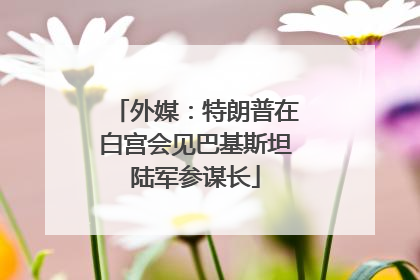 外媒：特朗普在白宫会见巴基斯坦陆军参谋长