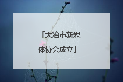 大冶市新媒体协会成立