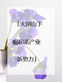 大别山下崛起茶产业新势力