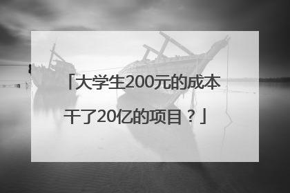 大学生200元的成本干了20亿的项目？