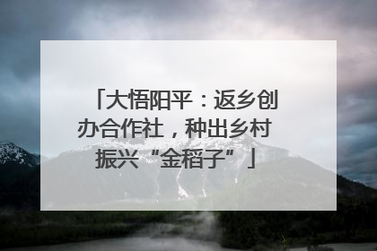 大悟阳平：返乡创办合作社，种出乡村振兴“金稻子”