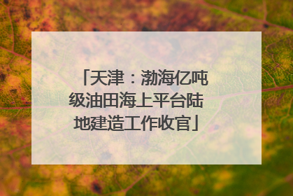 天津：渤海亿吨级油田海上平台陆地建造工作收官