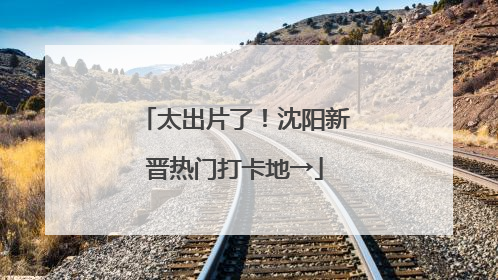 太出片了！沈阳新晋热门打卡地→