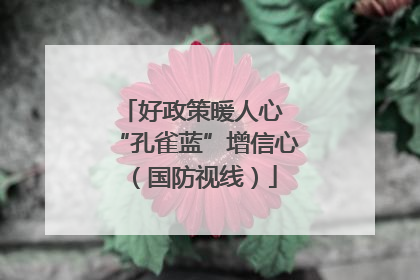 好政策暖人心 “孔雀蓝”增信心（国防视线）