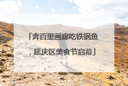 奔百里画廊吃铁锅鱼，延庆区美食节启幕
