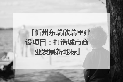 忻州东瑞欣瑞里建设项目：打造城市商业发展新地标