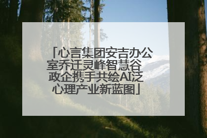 心言集团安吉办公室乔迁灵峰智慧谷 政企携手共绘AI泛心理产业新蓝图