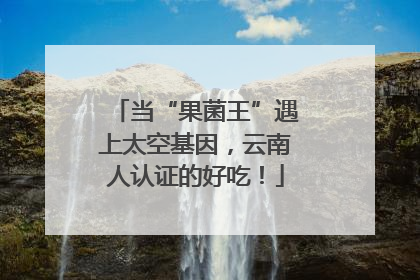 当“果菌王”遇上太空基因，云南人认证的好吃！