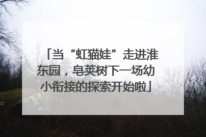 当“虹猫娃”走进淮东园，皂荚树下一场幼小衔接的探索开始啦