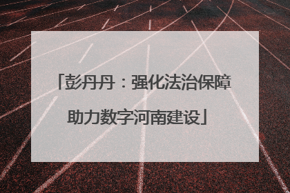 彭丹丹：强化法治保障 助力数字河南建设