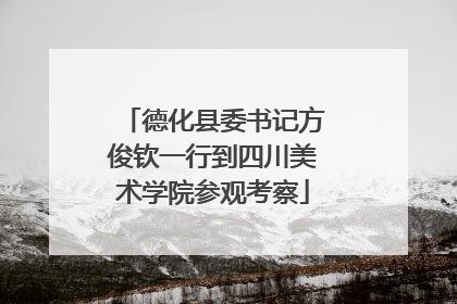 德化县委书记方俊钦一行到四川美术学院参观考察