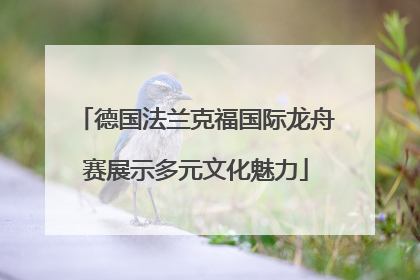 德国法兰克福国际龙舟赛展示多元文化魅力