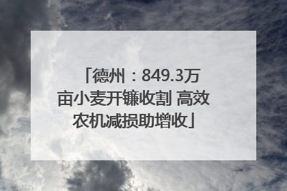 德州：849.3万亩小麦开镰收割 高效农机减损助增收