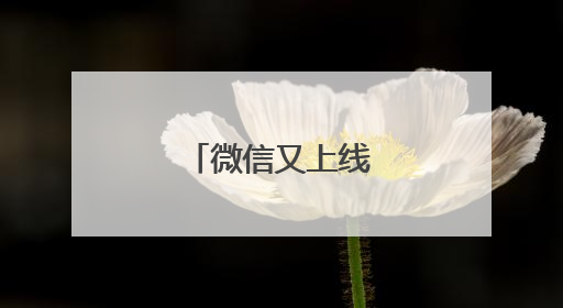 微信又上线新功能！