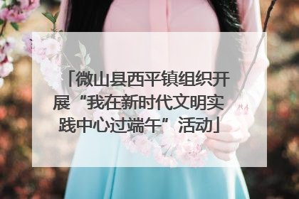 微山县西平镇组织开展“我在新时代文明实践中心过端午”活动