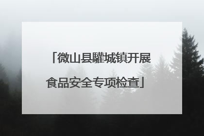 微山县驩城镇开展食品安全专项检查