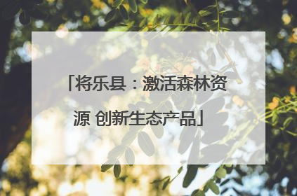 将乐县：激活森林资源 创新生态产品