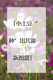 小土豆“种”出共富新图景