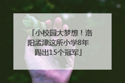 小校园大梦想！洛阳孟津这所小学8年踢出15个冠军