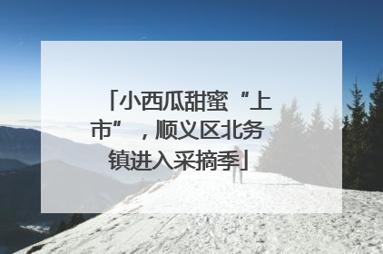 小西瓜甜蜜“上市”，顺义区北务镇进入采摘季
