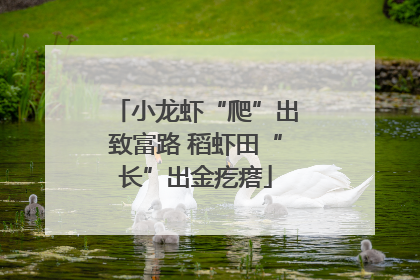 小龙虾“爬”出致富路 稻虾田“长”出金疙瘩