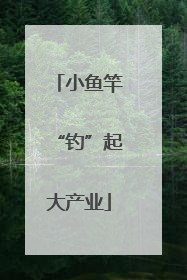 小鱼竿“钓”起大产业