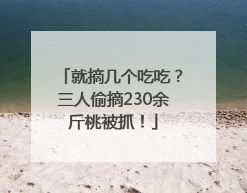 就摘几个吃吃？三人偷摘230余斤桃被抓！