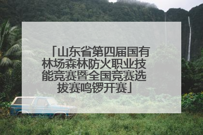 山东省第四届国有林场森林防火职业技能竞赛暨全国竞赛选拔赛鸣锣开赛