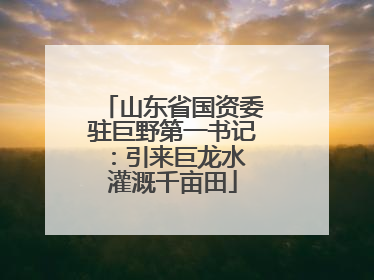 山东省国资委驻巨野第一书记：引来巨龙水 灌溉千亩田