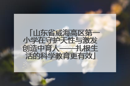 山东省威海高区第一小学在守护天性与激发创造中育人——扎根生活的科学教育更有效