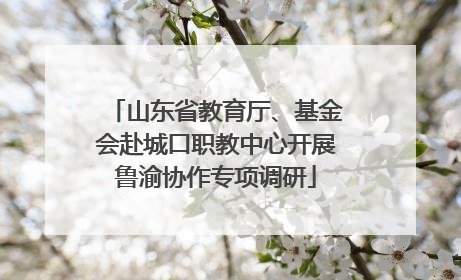 山东省教育厅、基金会赴城口职教中心开展鲁渝协作专项调研