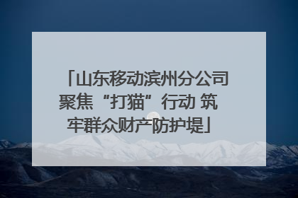 山东移动滨州分公司聚焦“打猫”行动 筑牢群众财产防护堤