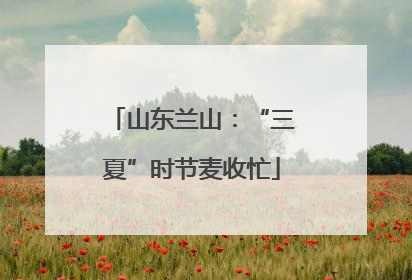 山东兰山：“三夏”时节麦收忙
