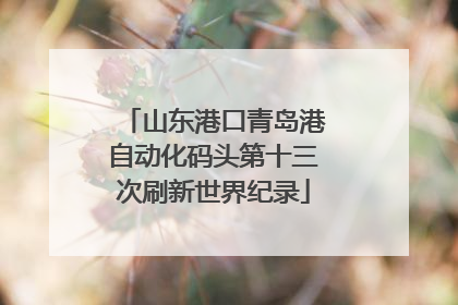 山东港口青岛港自动化码头第十三次刷新世界纪录