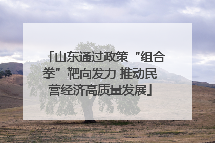 山东通过政策“组合拳”靶向发力 推动民营经济高质量发展