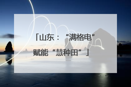 山东：“满格电”赋能“慧种田”