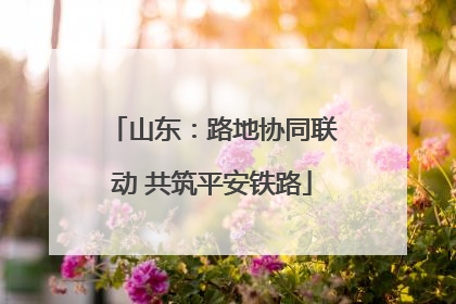山东：路地协同联动 共筑平安铁路