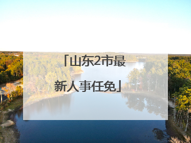 山东2市最新人事任免