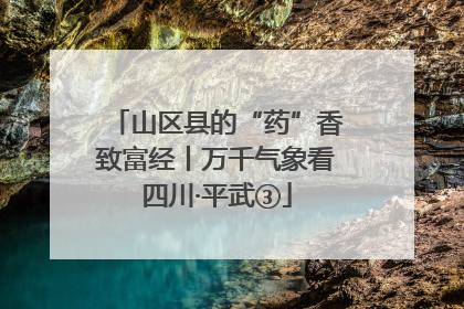 山区县的“药”香致富经丨万千气象看四川·平武③
