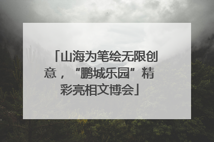 山海为笔绘无限创意，“鹏城乐园”精彩亮相文博会