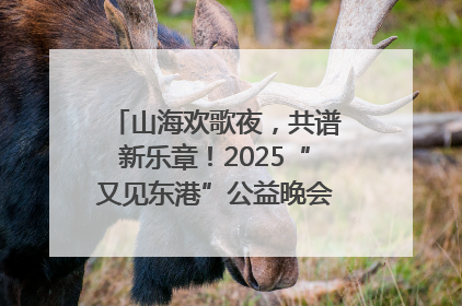 山海欢歌夜，共谱新乐章！2025“又见东港”公益晚会奏响文旅强音