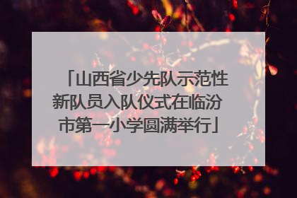 山西省少先队示范性新队员入队仪式在临汾市第一小学圆满举行