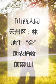 山西大同云州区：林地生“金” 助农增收前景旺