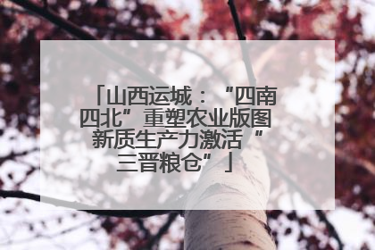 山西运城：“四南四北”重塑农业版图 新质生产力激活“三晋粮仓”
