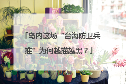 岛内这场“台海防卫兵推”为何越描越黑？